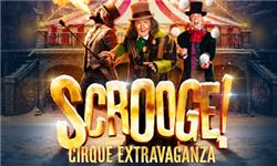 Chademo To Ccs Combo 1 Adapter - Scrooge: A Cirque Extravaganza