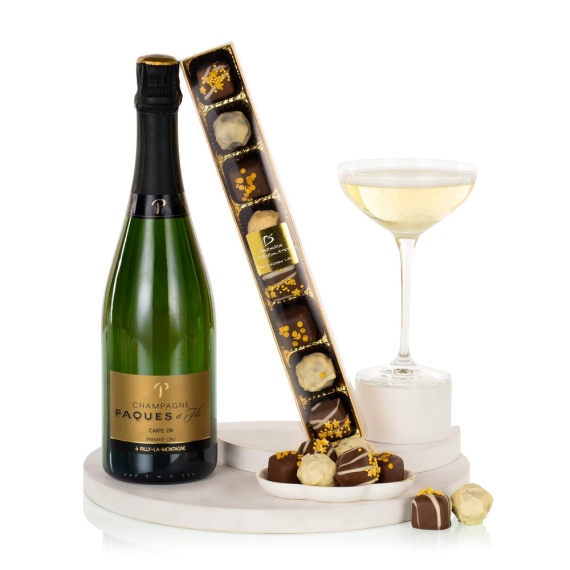 Chademo To Ccs Combo 1 Adapter - Champagne and Chocolates