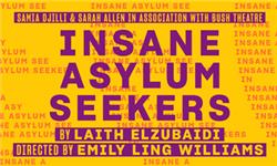 Chademo To Ccs Combo 1 Adapter - Insane Asylum Seekers