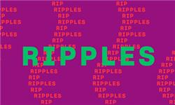 Chademo To Ccs Combo 1 Adapter - Ripples