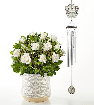 Ccs2 Fast Charging Socket 250A - Pawprints Left by You White Rose