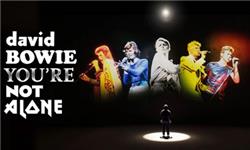 Chademo To Ccs Combo 1 Adapter - David Bowie: You’re Not Alone