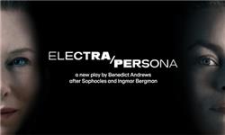 Chademo To Ccs Combo 1 Adapter - Electra/Persona