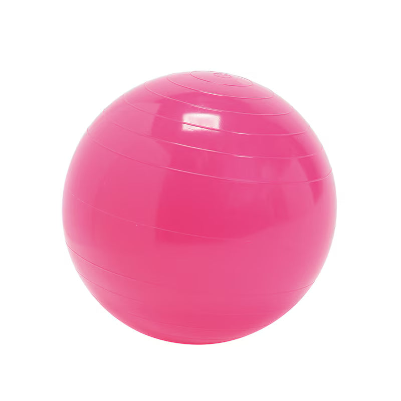 On Board Charger 72V 3.3Kw Can Bus - Ballon d’exercice Gymnic Classic