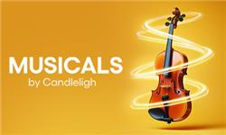 Chademo To Ccs Combo 1 Adapter - Musicals By Candlelight