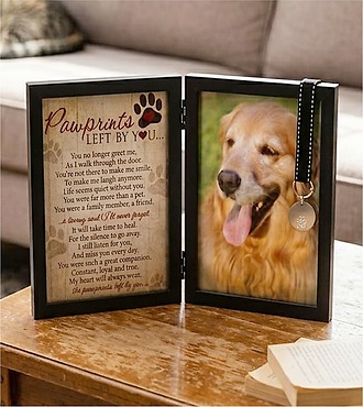 Ccs2 Fast Charging Socket 250A - Pawprints Pet Loss Memorial Frame -