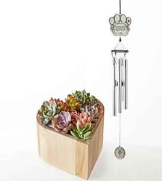 Ccs2 Fast Charging Socket 250A - My Heart Succulent Garden with Pet