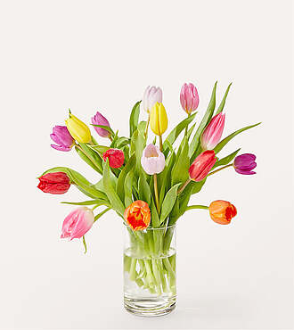 Ccs2 Fast Charging Socket 250A - Let's Talk Tulips Bouquet