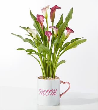 Ccs2 Fast Charging Socket 250A - Mom's Heart Pink Calla Lily -