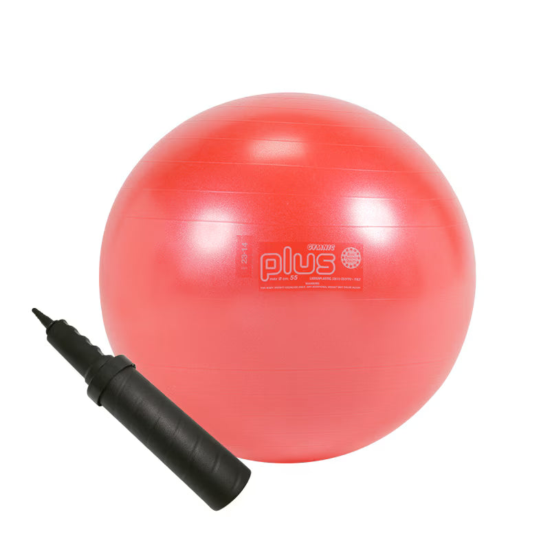 On Board Charger 72V 3.3Kw Can Bus - Ballon Gymnic Plus avec pompe à