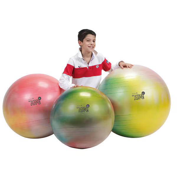 On Board Charger 72V 3.3Kw Can Bus - Ballon d’exercice Gymnic Plus Arte