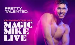 Chademo To Ccs Combo 1 Adapter - Magic Mike Live!