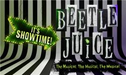 Chademo To Ccs Combo 1 Adapter - Beetlejuice: The Musical