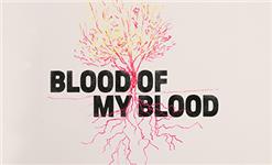 Chademo To Ccs Combo 1 Adapter - Blood of my Blood