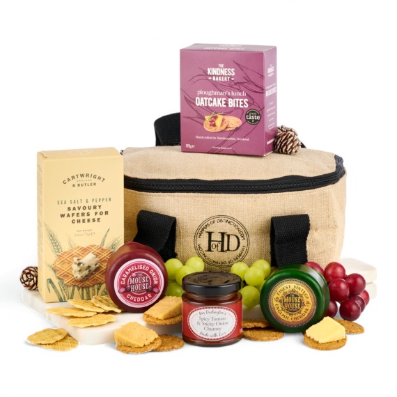 Chademo To Ccs Combo 1 Adapter - The Cheese Cool Bag