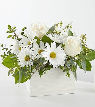 Ccs2 Fast Charging Socket 250A - Fresh Linen Box Bouquet
