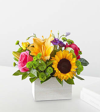 Ccs2 Fast Charging Socket 250A - Best Day Box Bouquet