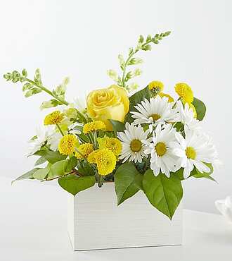 Ccs2 Fast Charging Socket 250A - Sun Salutation Box Bouquet