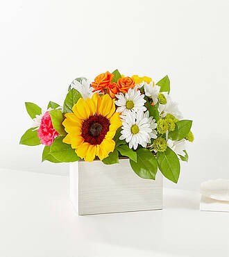Ccs2 Fast Charging Socket 250A - Sun - drenched Blooms Box Bouquet
