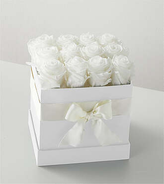 Ccs2 Fast Charging Socket 250A - White Forever Roses - FedEx