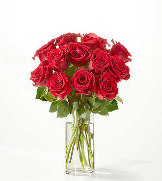 Ccs2 Fast Charging Socket 250A - Red Rose Bouquet - 12 Roses