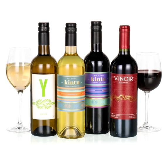 Chademo To Ccs Combo 1 Adapter - Four Wines in a Box
