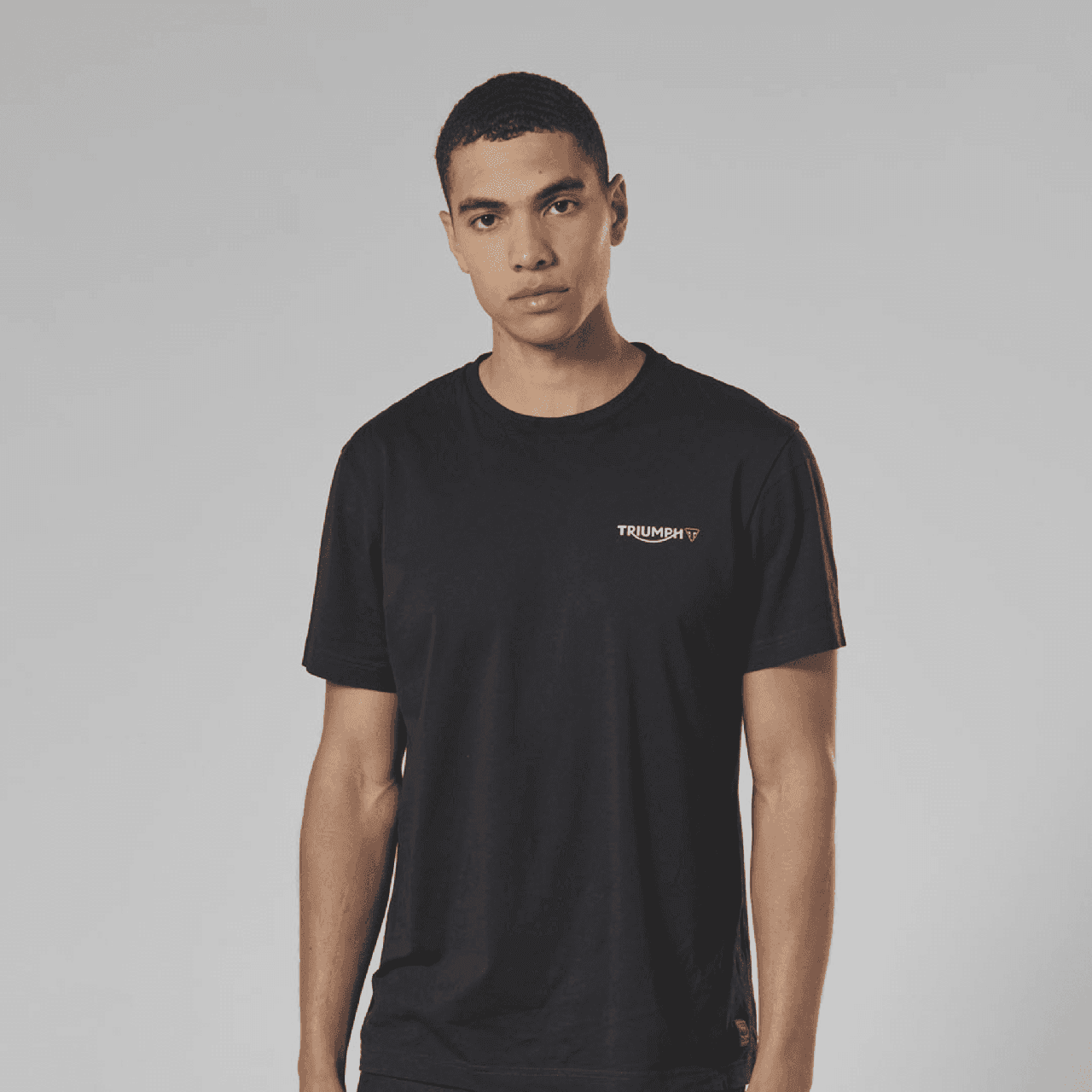 Bldc Motor Controller 96V 500A - Triumph Earling T-Shirt Black | Triumph