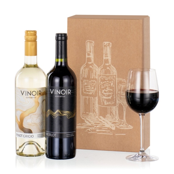 Chademo To Ccs Combo 1 Adapter - Wine Duet