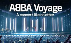 Chademo To Ccs Combo 1 Adapter - Abba Voyage