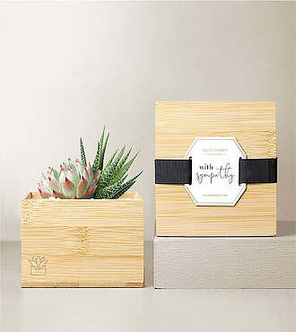 Ccs2 Fast Charging Socket 250A - Lula's Garden Bamboo Glow - With