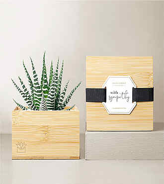 Ccs2 Fast Charging Socket 250A - Lula's Bamboo Zebra Garden - With