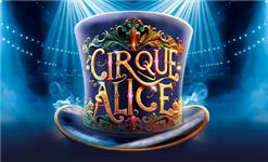 Chademo To Ccs Combo 1 Adapter - Cirque Alice
