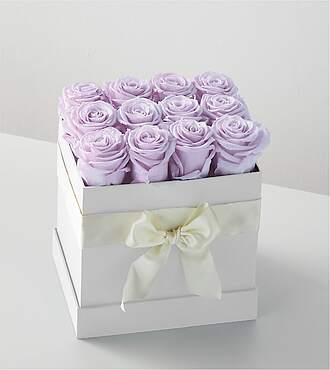 Ccs2 Fast Charging Socket 250A - Lavender Forever Rose - 12 Preserved