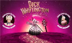 Chademo To Ccs Combo 1 Adapter - Dick Whittington and His Cat -