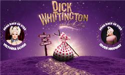 Chademo To Ccs Combo 1 Adapter - Dick Whittington and His Cat -