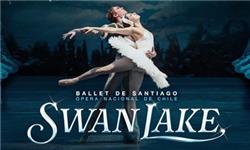Chademo To Ccs Combo 1 Adapter - Ballet de Santiago Swan Lake