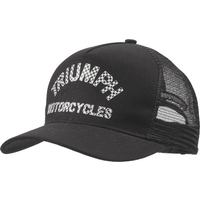 Triumph Checkerboard Trucker C - Bldc Motor Controller 96V 500A review and price
