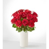 Red Rose Bouquet - 12 Roses wi - Ccs2 Fast Charging Socket 250A review and price
