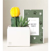 Lula's Garden Ray Garden - Bes - Ccs2 Fast Charging Socket 250A review and price