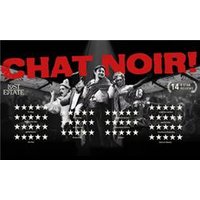 CHAT NOIR - Chademo To Ccs Combo 1 Adapter review and price