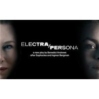 Electra/Persona - Chademo To Ccs Combo 1 Adapter review and price