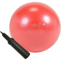 Ballon Gymnic Plus avec pompe  - On Board Charger 72V 3.3Kw Can Bus review and price