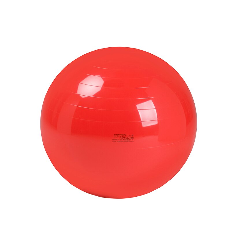 Ballon d’exercice Gymnic Class - On Board Charger 72V 3.3Kw Can Bus review and price