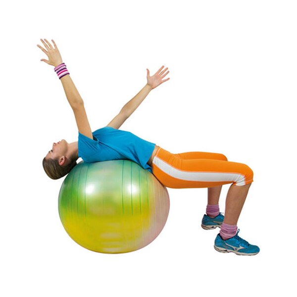 Ballon d’exercice Gymnic Plus  - On Board Charger 72V 3.3Kw Can Bus review and price
