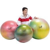 Ballon d’exercice Gymnic Plus  - On Board Charger 72V 3.3Kw Can Bus review and price