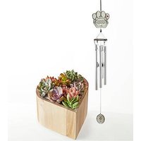 My Heart Succulent Garden with - Ccs2 Fast Charging Socket 250A review and price