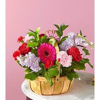 Pink Picnic Basket - Ccs2 Fast Charging Socket 250A review and price