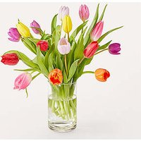 Let's Talk Tulips Bouquet - Ccs2 Fast Charging Socket 250A review and price