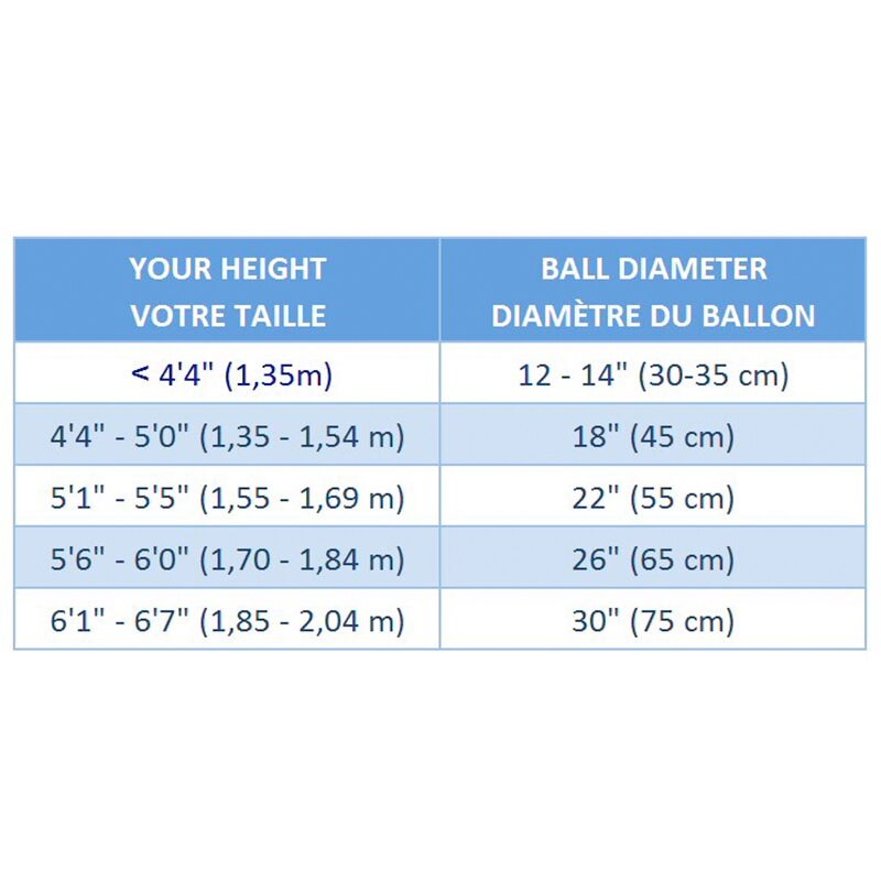 Ballon Gymnic Plus avec pompe  - On Board Charger 72V 3.3Kw Can Bus review and price