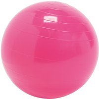 Ballon d’exercice Gymnic Class - On Board Charger 72V 3.3Kw Can Bus review and price